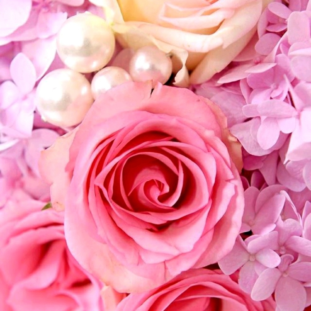 Meet your Posher, Jill